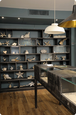 magasin white bird