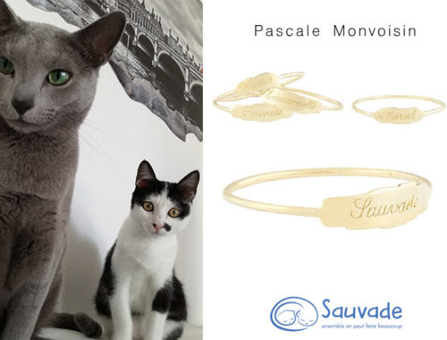 Pascale Monvoisin x Sauvade