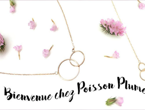 poisson plume