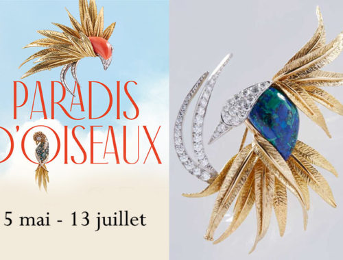 exposition Paradis d'oiseaux