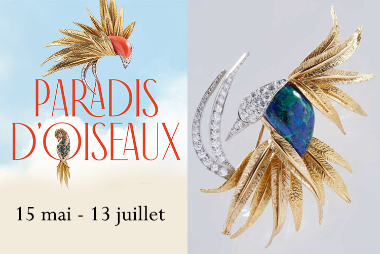 exposition Paradis d'oiseaux