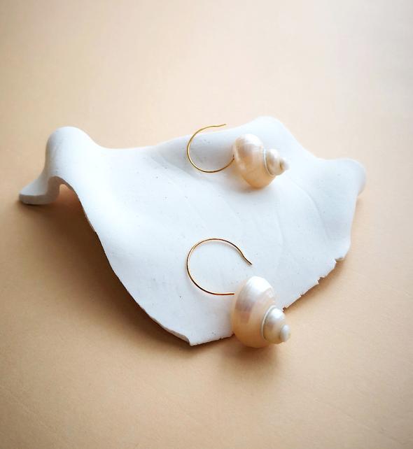 turbo shells earrings